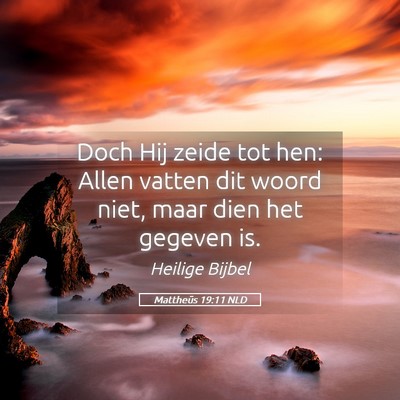 Picture 05 - Mattheüs 19:11 NLD - Doch Hij zeide tot hen: Allen vatten dit woord - Bible Verse Picture