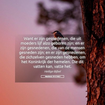 Picture 05 - Mattheüs 19:12 NLD - Want er zijn gesnedenen, die uit moeders lijf - Bible Verse Picture