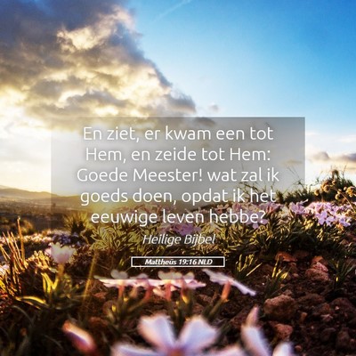 Picture 05 - Mattheüs 19:16 NLD - En ziet, er kwam een tot Hem, en zeide tot Hem: - Bible Verse Picture