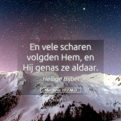Picture 05 - Mattheüs 19:2 NLD - En vele scharen volgden Hem, en Hij genas ze - Bible Verse Picture