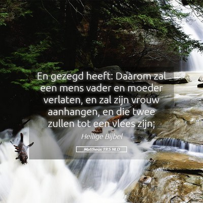 Picture 05 - Mattheüs 19:5 NLD - En gezegd heeft: Daarom zal een mens vader en - Bible Verse Picture