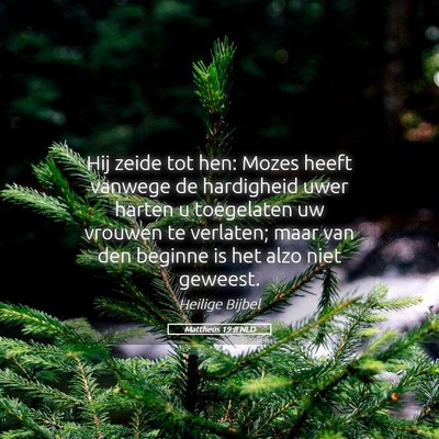 Picture 05 - Mattheüs 19:8 NLD - Hij zeide tot hen: Mozes heeft vanwege de - Bible Verse Picture