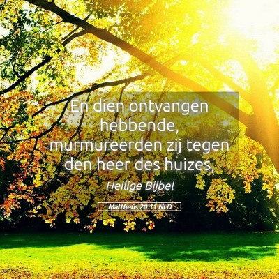 Picture 05 - Mattheüs 20:11 NLD - En dien ontvangen hebbende, murmureerden zij - Bible Verse Picture