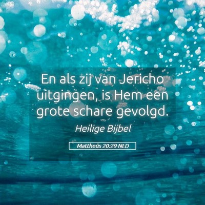 Picture 05 - Mattheüs 20:29 NLD - En als zij van Jericho uitgingen, is Hem een - Bible Verse Picture