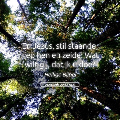 Picture 05 - Mattheüs 20:32 NLD - En Jezus, stil staande, riep hen en zeide: Wat - Bible Verse Picture