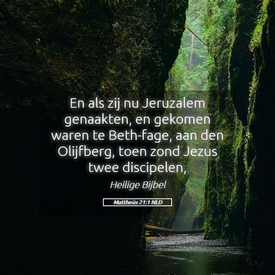 Picture 05 - Mattheüs 21:1 NLD - En als zij nu Jeruzalem genaakten, en gekomen - Bible Verse Picture
