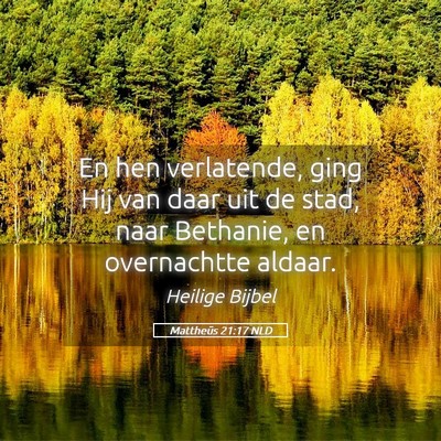 Picture 05 - Mattheüs 21:17 NLD - En hen verlatende, ging Hij van daar uit de stad, - Bible Verse Picture