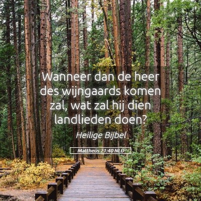Picture 05 - Mattheüs 21:40 NLD - Wanneer dan de heer des wijngaards komen zal, wat - Bible Verse Picture