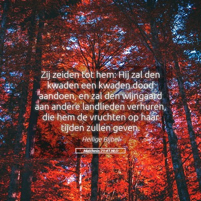 Picture 05 - Mattheüs 21:41 NLD - Zij zeiden tot hem: Hij zal den kwaden een kwaden - Bible Verse Picture