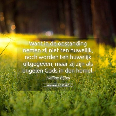 Picture 05 - Mattheüs 22:30 NLD - Want in de opstanding nemen zij niet ten - Bible Verse Picture