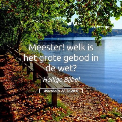 Picture 05 - Mattheüs 22:36 NLD - Meester! welk is het grote gebod in de - Bible Verse Picture