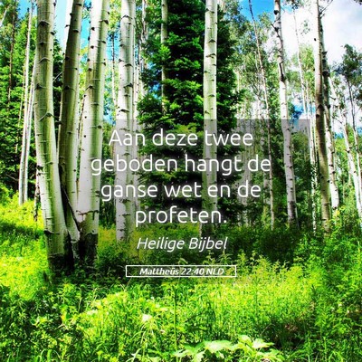 Picture 05 - Mattheüs 22:40 NLD - Aan deze twee geboden hangt de ganse wet en de - Bible Verse Picture