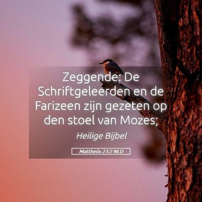 Picture 05 - Mattheüs 23:2 NLD - Zeggende: De Schriftgeleerden en de Farizeen zijn - Bible Verse Picture