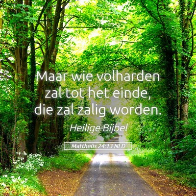 Picture 05 - Mattheüs 24:13 NLD - Maar wie volharden zal tot het einde, die zal - Bible Verse Picture