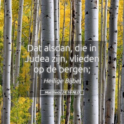 Picture 05 - Mattheüs 24:16 NLD - Dat alsdan, die in Judea zijn, vlieden op de - Bible Verse Picture