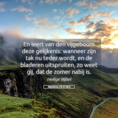 Picture 05 - Mattheüs 24:32 NLD - En leert van den vijgeboom deze gelijkenis: - Bible Verse Picture