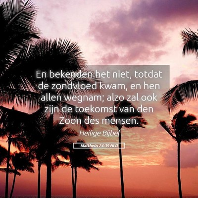 Picture 05 - Mattheüs 24:39 NLD - En bekenden het niet, totdat de zondvloed kwam, - Bible Verse Picture