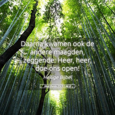 Picture 05 - Mattheüs 25:11 NLD - Daarna kwamen ook de andere maagden, zeggende: - Bible Verse Picture