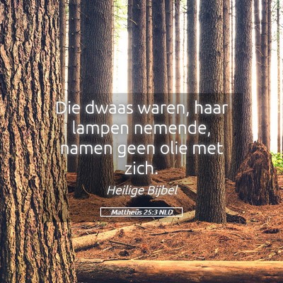 Picture 05 - Mattheüs 25:3 NLD - Die dwaas waren, haar lampen nemende, namen geen - Bible Verse Picture