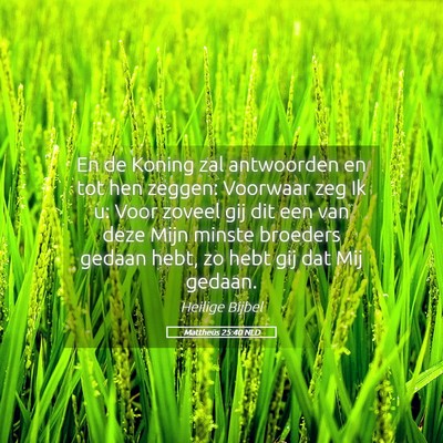 Picture 05 - Mattheüs 25:40 NLD - En de Koning zal antwoorden en tot hen zeggen: - Bible Verse Picture