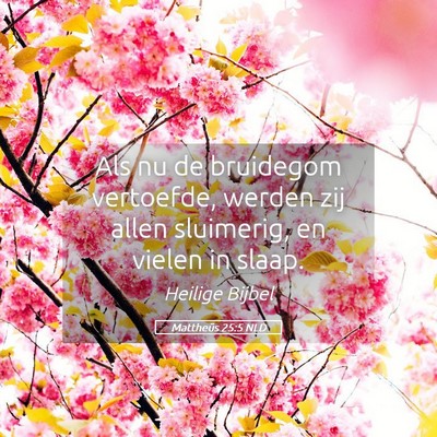 Picture 05 - Mattheüs 25:5 NLD - Als nu de bruidegom vertoefde, werden zij allen - Bible Verse Picture
