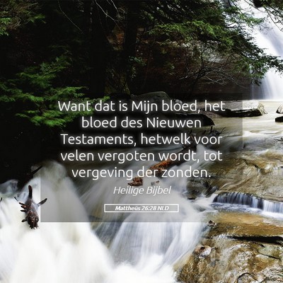 Picture 05 - Mattheüs 26:28 NLD - Want dat is Mijn bloed, het bloed des Nieuwen - Bible Verse Picture