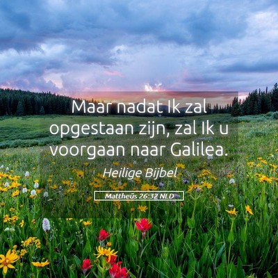 Picture 05 - Mattheüs 26:32 NLD - Maar nadat Ik zal opgestaan zijn, zal Ik u - Bible Verse Picture
