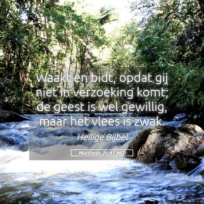 Picture 05 - Mattheüs 26:41 NLD - Waakt en bidt, opdat gij niet in verzoeking komt; - Bible Verse Picture