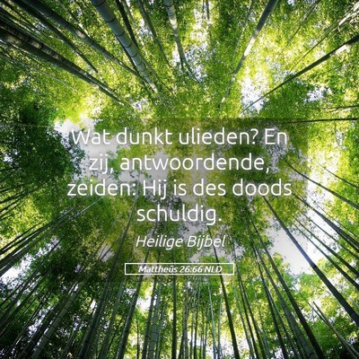 Picture 05 - Mattheüs 26:66 NLD - Wat dunkt ulieden? En zij, antwoordende, zeiden: - Bible Verse Picture