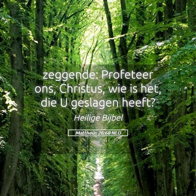 Picture 05 - Mattheüs 26:68 NLD - zeggende: Profeteer ons, Christus, wie is het, - Bible Verse Picture