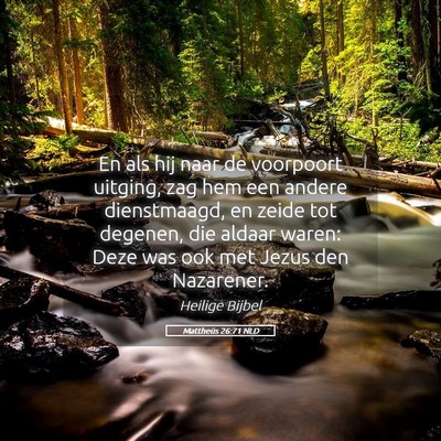 Picture 05 - Mattheüs 26:71 NLD - En als hij naar de voorpoort uitging, zag hem een - Bible Verse Picture