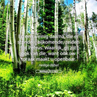 Picture 05 - Mattheüs 26:73 NLD - En een weinig daarna, die er stonden, bijkomende, - Bible Verse Picture