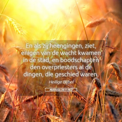 Picture 05 - Mattheüs 28:11 NLD - En als zij heengingen, ziet, enigen van de wacht - Bible Verse Picture