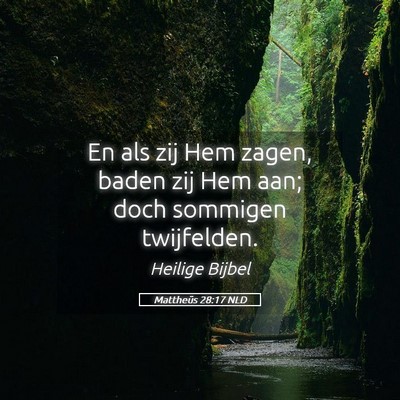 Picture 05 - Mattheüs 28:17 NLD - En als zij Hem zagen, baden zij Hem aan; doch - Bible Verse Picture
