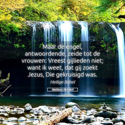 Picture 05 - Mattheüs 28:5 NLD - Maar de engel, antwoordende, zeide tot de - Bible Verse Picture