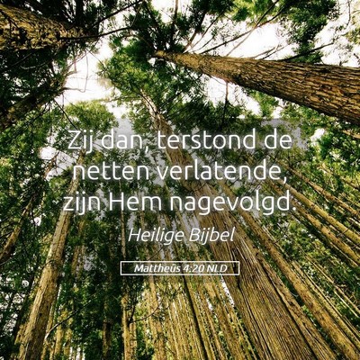 Picture 05 - Mattheüs 4:20 NLD - Zij dan, terstond de netten verlatende, zijn Hem - Bible Verse Picture