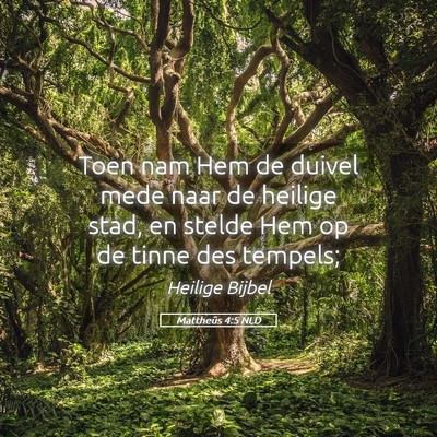 Picture 05 - Mattheüs 4:5 NLD - Toen nam Hem de duivel mede naar de heilige stad, - Bible Verse Picture