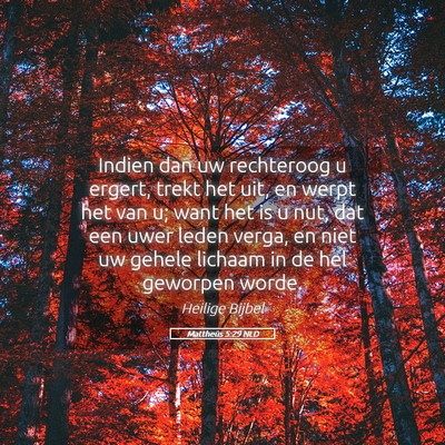 Picture 05 - Mattheüs 5:29 NLD - Indien dan uw rechteroog u ergert, trekt het uit, - Bible Verse Picture