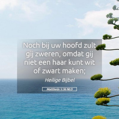 Picture 05 - Mattheüs 5:36 NLD - Noch bij uw hoofd zult gij zweren, omdat gij niet - Bible Verse Picture