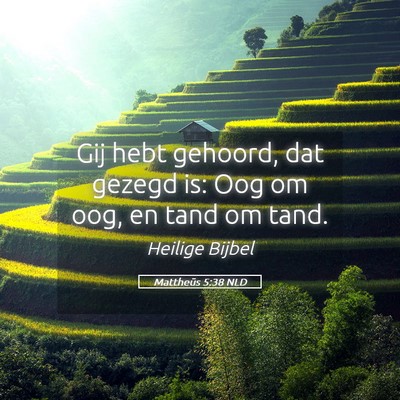 Picture 05 - Mattheüs 5:38 NLD - Gij hebt gehoord, dat gezegd is: Oog om oog, en - Bible Verse Picture