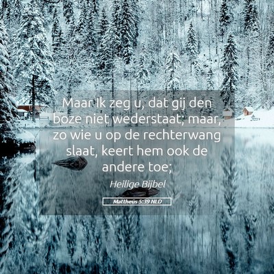 Picture 05 - Mattheüs 5:39 NLD - Maar Ik zeg u, dat gij den boze niet wederstaat; - Bible Verse Picture