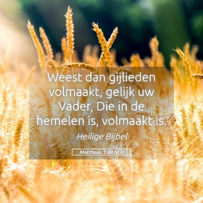 Picture 05 - Mattheüs 5:48 NLD - Weest dan gijlieden volmaakt, gelijk uw Vader, - Bible Verse Picture