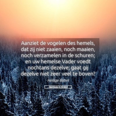 Picture 05 - Mattheüs 6:26 NLD - Aanziet de vogelen des hemels, dat zij niet - Bible Verse Picture