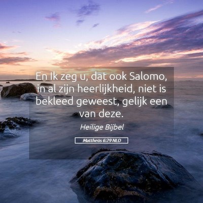 Picture 05 - Mattheüs 6:29 NLD - En Ik zeg u, dat ook Salomo, in al zijn - Bible Verse Picture