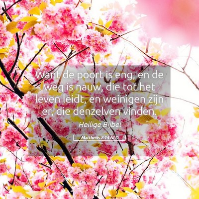 Picture 05 - Mattheüs 7:14 NLD - Want de poort is eng, en de weg is nauw, die tot - Bible Verse Picture