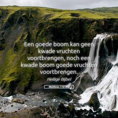Picture 05 - Mattheüs 7:18 NLD - Een goede boom kan geen kwade vruchten - Bible Verse Picture