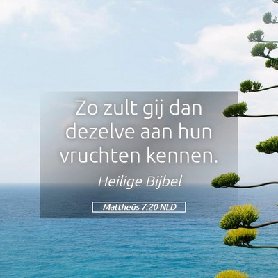 Picture 05 - Mattheüs 7:20 NLD - Zo zult gij dan dezelve aan hun vruchten - Bible Verse Picture