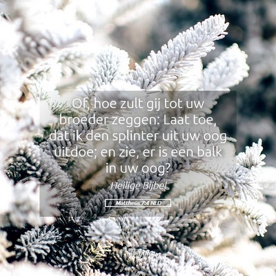 Picture 05 - Mattheüs 7:4 NLD - Of, hoe zult gij tot uw broeder zeggen: Laat toe, - Bible Verse Picture