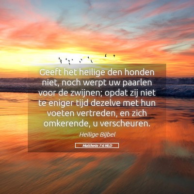 Picture 05 - Mattheüs 7:6 NLD - Geeft het heilige den honden niet, noch werpt uw - Bible Verse Picture