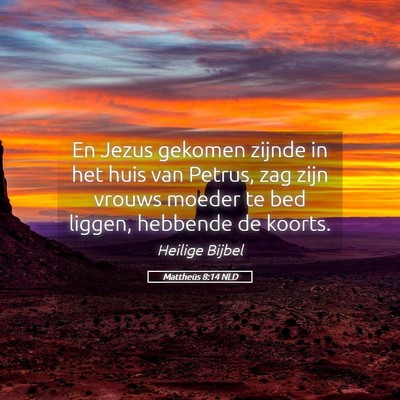 Picture 05 - Mattheüs 8:14 NLD - En Jezus gekomen zijnde in het huis van Petrus, - Bible Verse Picture
